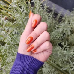 Radioactive Unicorn Hallow-Queen Nail Polish - Long-Lasting, Vibrant Colors 10 Radioactive Unicorn Hallow-Queen Nail Polish