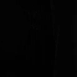 Necessary Evil Aphrodite Velvet Hooded Cardigan Ladies