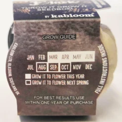 Necessary Evil Kabloom Bloom In Black Seedbom Homeware