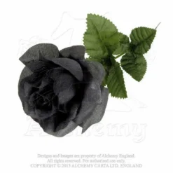 Kate's Clothing Ladies Alchemy Gothic Imitation Black Rose