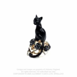 Alchemy Gothic Cat Skull: Miniature Ornaments Homeware